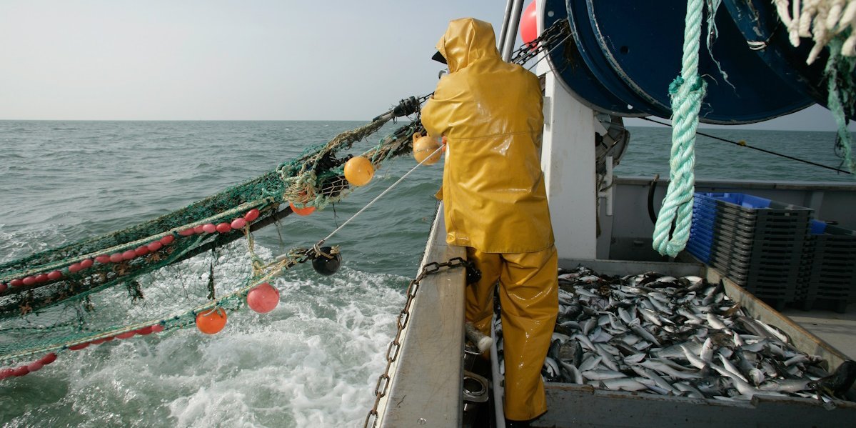 Ein Mann in gelbem Ölzeug zieht ein Netz vom Meer ins Fischerboot.. Artikel "Fisch und Meeresfrüchte: Fang und Zucht" öffnen.
