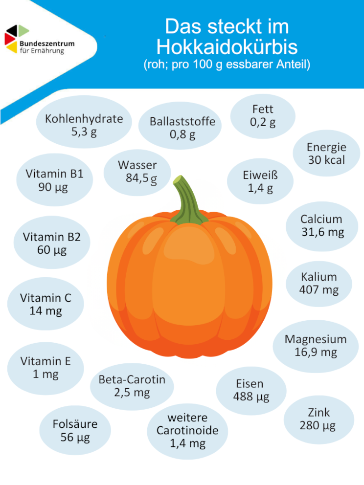 Eine Grafik zeigt wichtige Inhaltsstoffe im Hokkaido-Kürbis.
