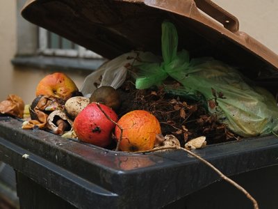 Eine Mülltonne mit Bioabfall ist abgebildet.