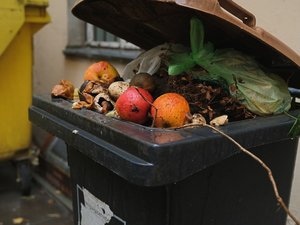 Eine Mülltonne mit Bioabfall ist abgebildet.