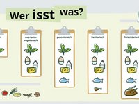  	Die Infografik zeigt anhand von Symbolen welche Lebensmittel bei verschiedenen Ernährungsformen gegessen werden.
