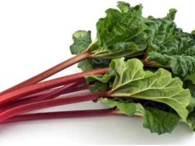 Rhabarber mit Blättern.