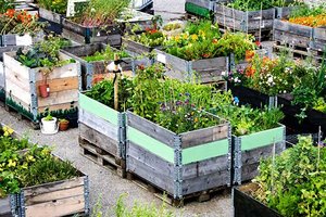 Urban Gardening: Gemüsekisten