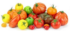 Verschiedene Tomatensorten