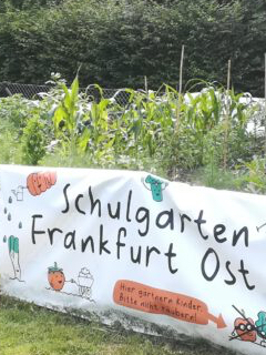 Schulgarten mit Banner und Aufschrift "Schulgarten Frankfurt Ost"