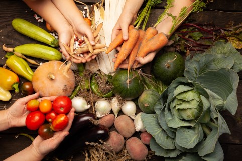 Bild: Gemüse und Hände