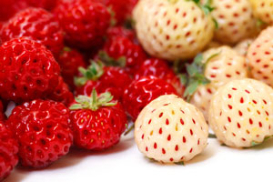 Rote und weiße Erdbeeren liegen nebeneinander