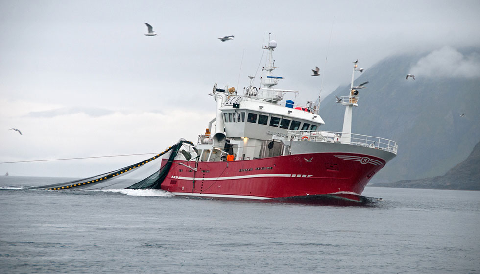Fischkutter mit Fangnetz im norwegischen Meer