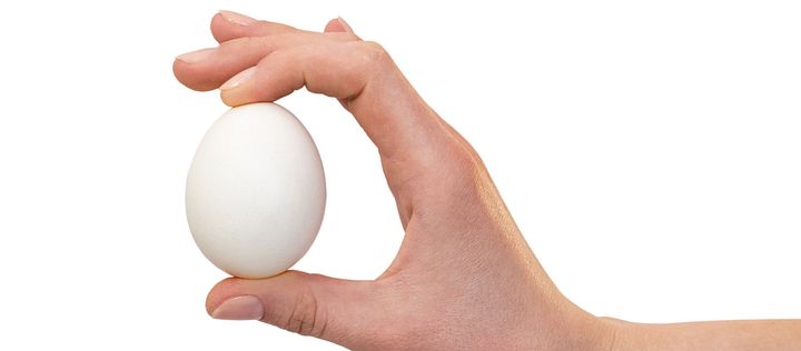 Eine Hand hält ein Ei 