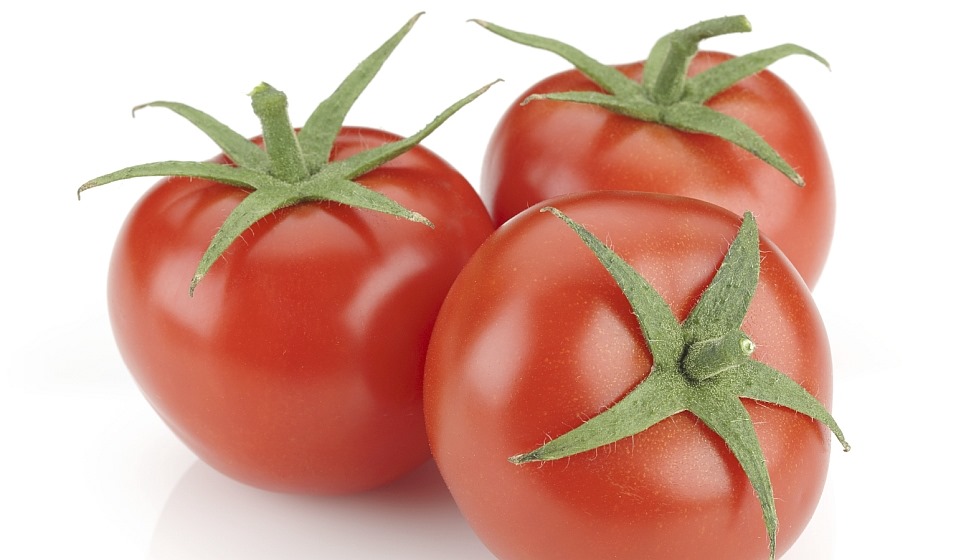 Runde rote Tomaten
