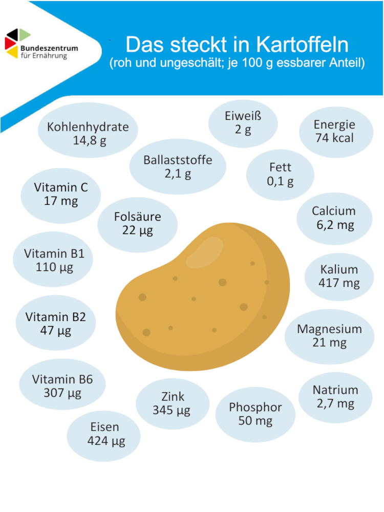 Die Grafik zeigt die Inhaltsstoffe in 100 Gramm Kartoffeln.