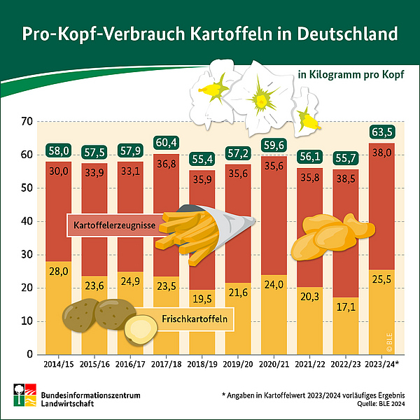 Die Infografik zeigt den Pro-Kopf-Verbrauch von Kartoffeln von 2014 bis 2024 in Deutschland.