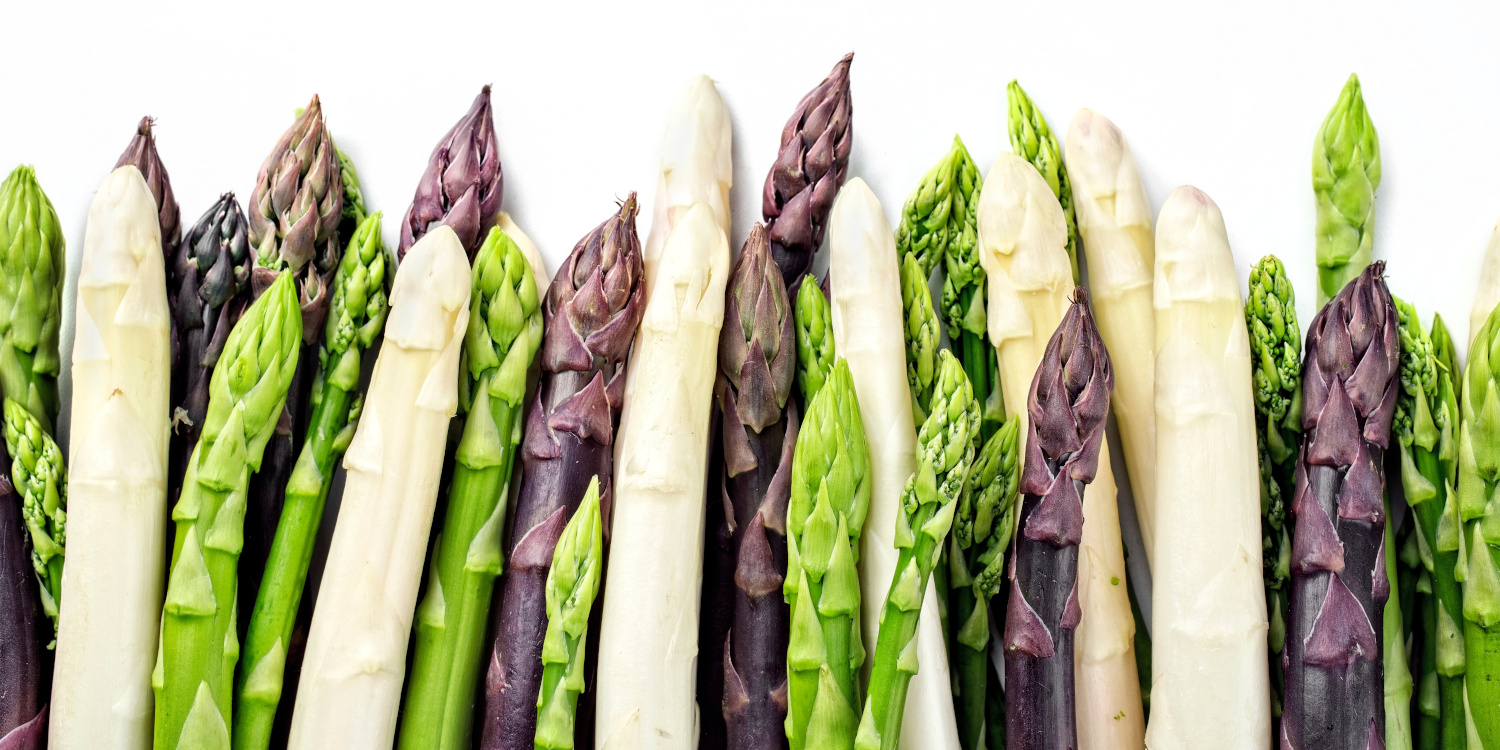 Stangen von weißem, grünem und violettem Spaergel liegen nebeneinander.. Artikel "Spargel" öffnen.