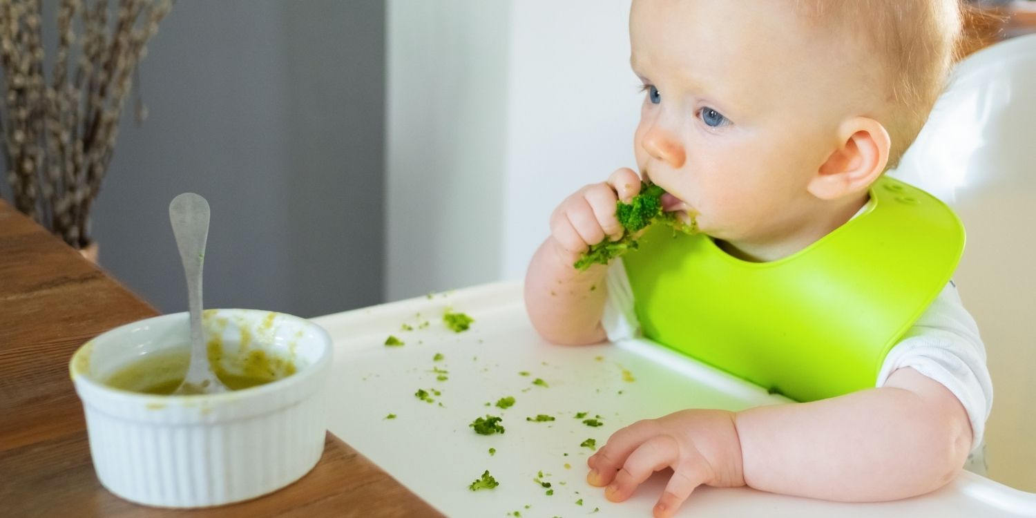 : Ein rothaariges Baby mit grünem Lätzchen sitzt in einem Hochstuhl und steckt sich ein Stück Brokkoli in den Mund. Vor ihm steht eine leere Schüssel mit Löffel.. Artikel "Breikost oder Baby-led weaning?" öffnen.