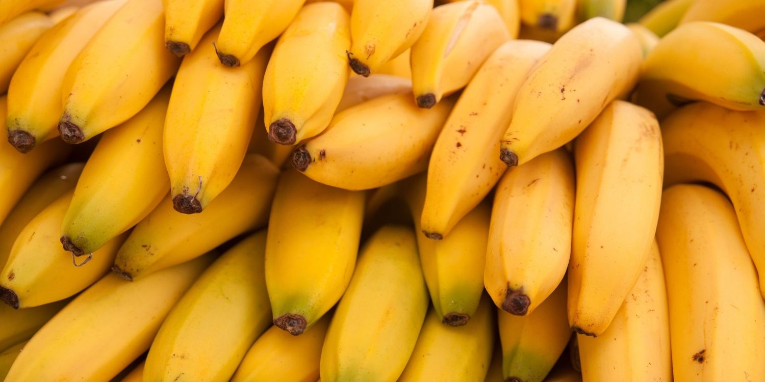 Viele Bananen liegen übereinander. . Artikel "Exotische Frucht: Banane" öffnen.