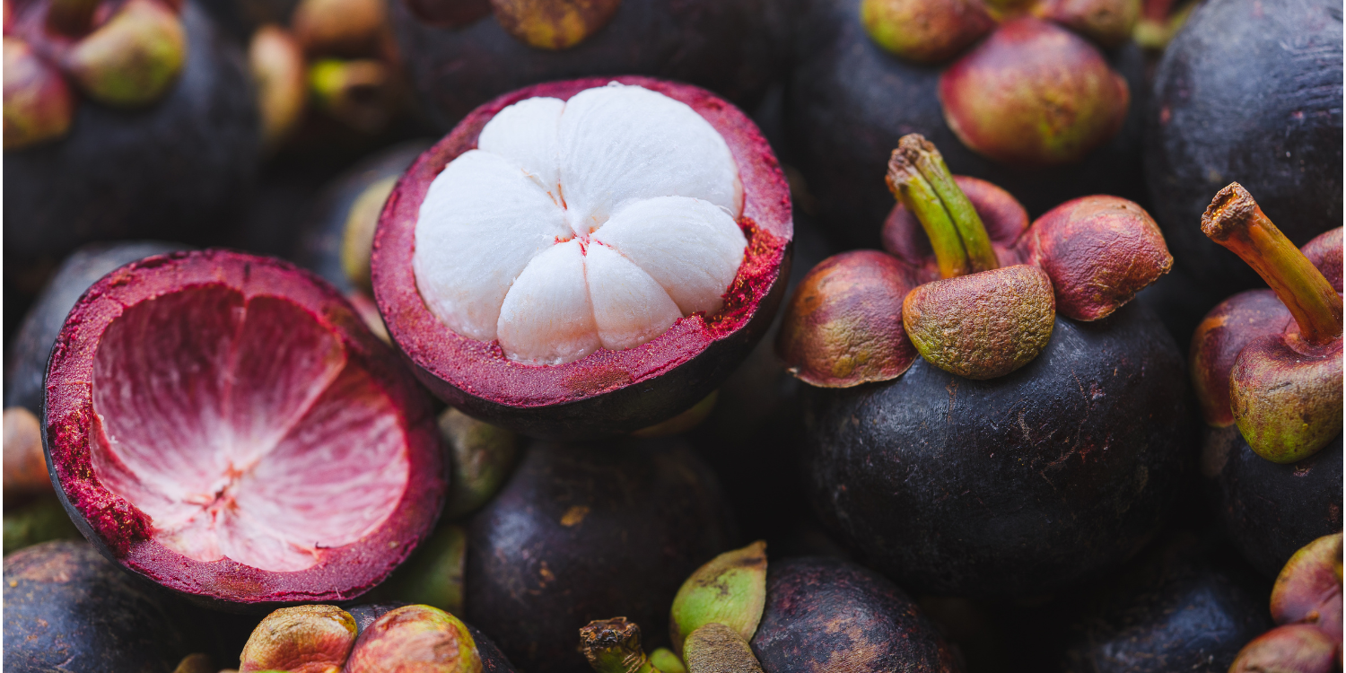 Neben einer geschlossenen purpurvioletten Mangostane-Frucht liegt eine geöffnete Frucht mit weißen Segmenten. . Artikel "Exotische Frucht: Mangostane" öffnen.