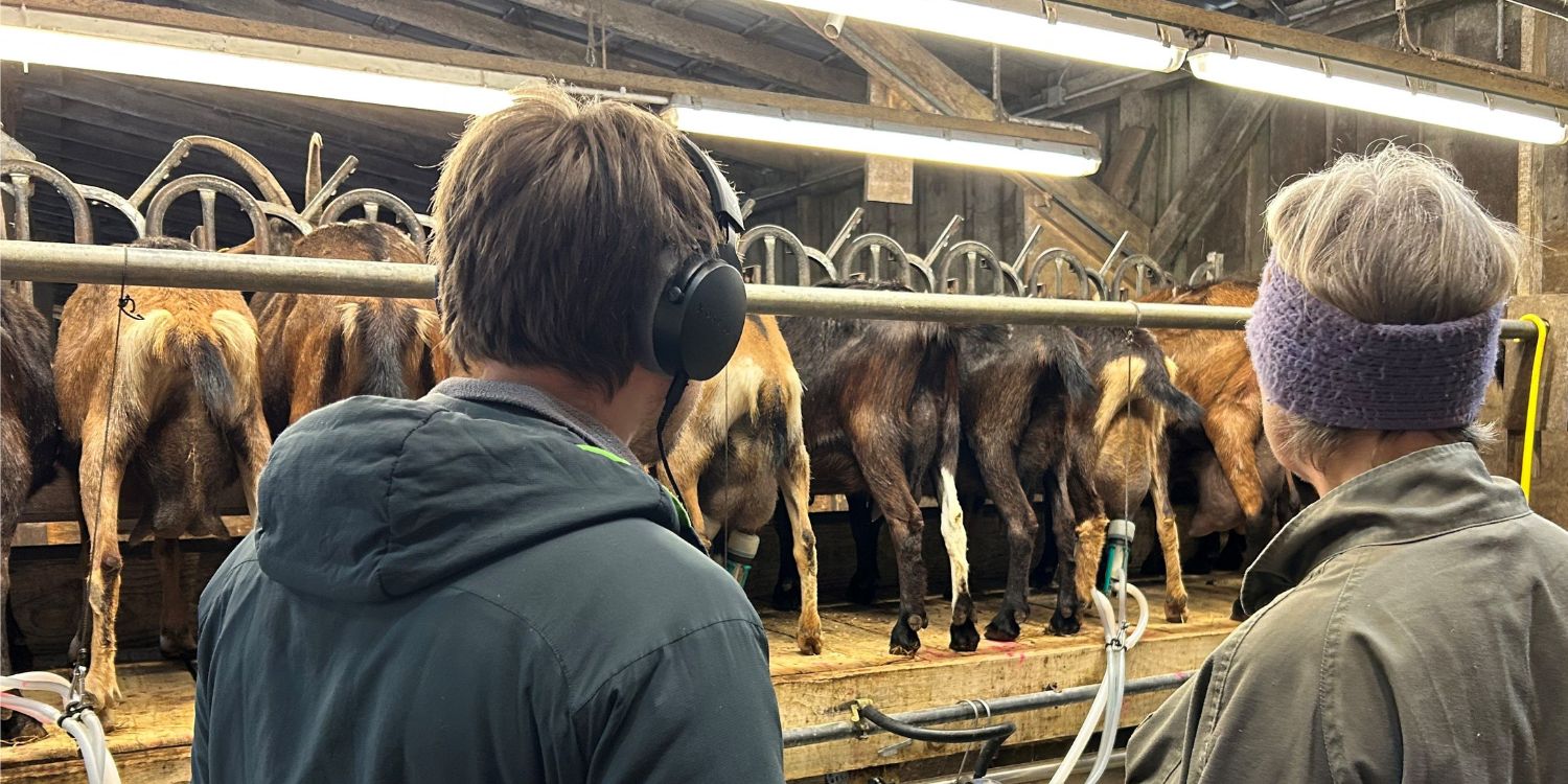 Sabine Jürß und Sebastian H. Schröder stehen vor dem Melkstand der Ziegen. . Artikel "# 6 Ein Herz und viele Ziegen" öffnen.