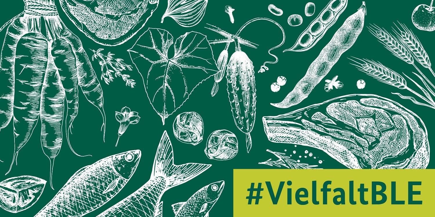 Eine Grafik mit gezeichneten Bildern von Möhren, Rosenkohl, Fisch, Gurken, Bohnen, Fleisch und Getreide. Rechts in der unteren Ecke befindet sich der Schriftzug #VielfaltBLE.  . Artikel "Impulse für eine bessere Ernährung" öffnen.