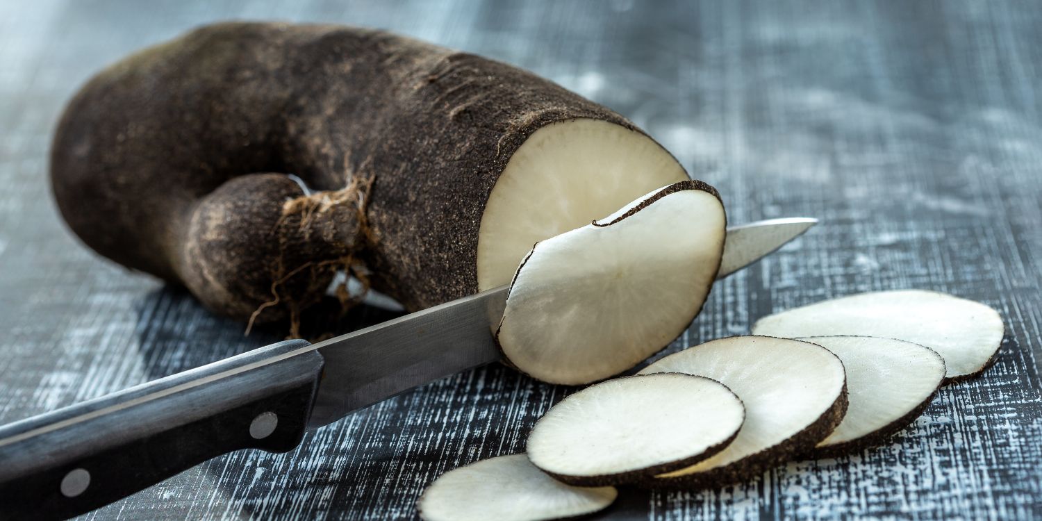 Auf einem dunklen Untergrund liegt ein Schwarzer Rettich von dem mit einem Messer dünne Scheiben abgeschnitten wurden.  . Artikel "Schwarzer Rettich – scharf und würzig" öffnen.