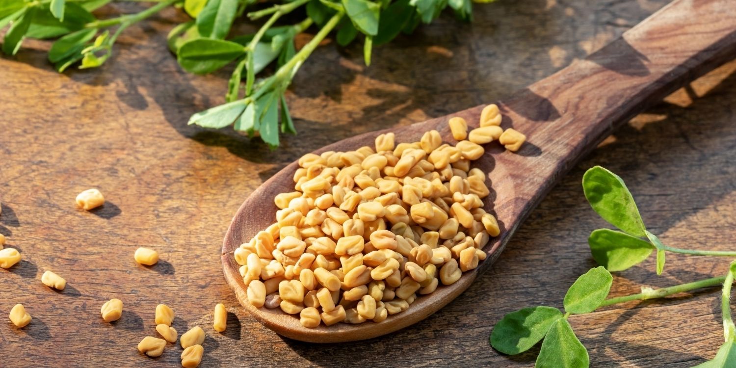 Auf einem Holztisch liegt ein Löffel mit Samen des Bockshornklees, daneben liegen einige Blätter.. Artikel "Ein Hauch von Orient: Bockshornklee" öffnen.