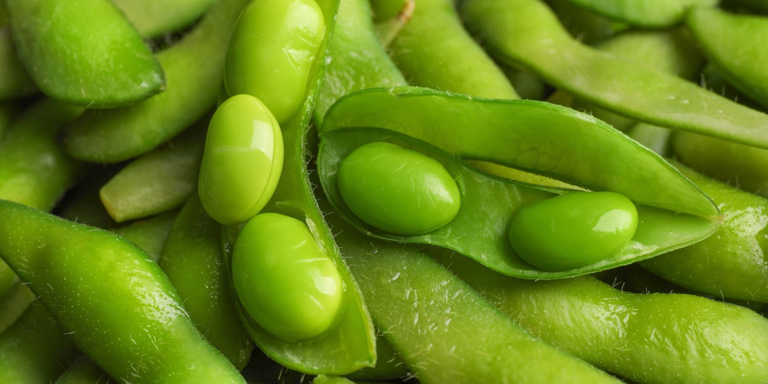 Edamame-Schoten füllen das gesamte Bild aus. . Artikel "Edamame entdecken" öffnen.