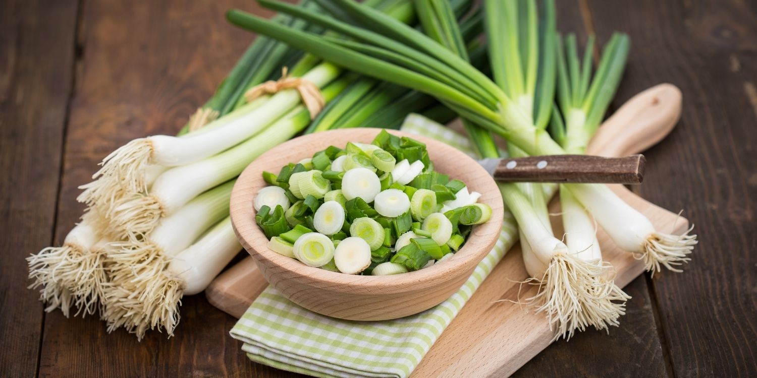 Auf einem Holzbrett liegen Bündel mit Frühlingszwiebeln. Auf einer grün-karierten Serviette steht ein Schälchen mit kleingeschnittenen Frühlingszwiebeln, daneben liegt ein Küchenmesser mit Holzgriff.. Artikel "Feinwürzige Frühlingszwiebel" öffnen.