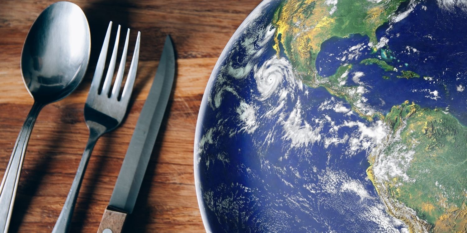 Auf einem Holztisch steht ein Teller der mit einer Vogelperspektive der Erde bedruckt ist. Daneben liegen Löffel, Gabel und Messer.. Artikel "Nachhaltige Ernährung im Unterricht" öffnen.