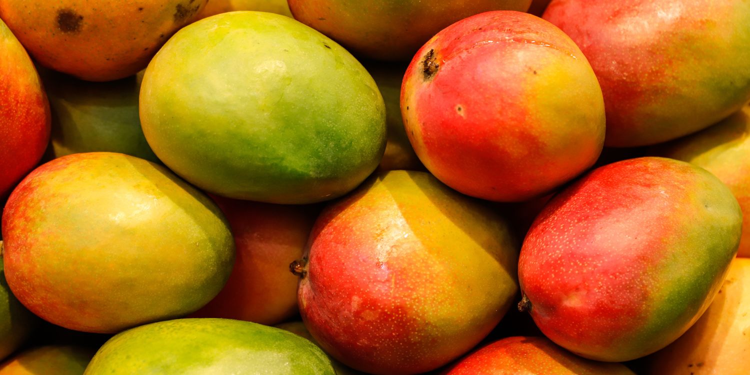 Das Bild ist ausgefüllt mit Mangos in Rot, Gelb und Grün. . Artikel "Exotische Frucht: Mango" öffnen.