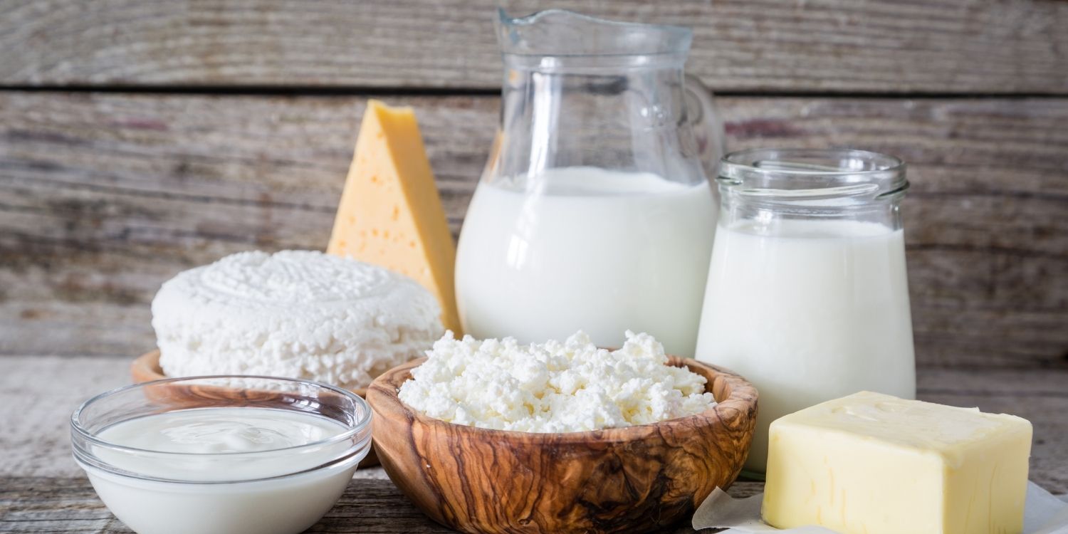 Auf einem Tisch stehen zwei Krüge Milch, eine Schüssel mit Joghurt und zwei Holzschüsseln mit Hüttenkäse, sowie ein Stück Butter und ein Hartkäse.. Artikel "Weniger Milch, mehr Käse und Butter" öffnen.