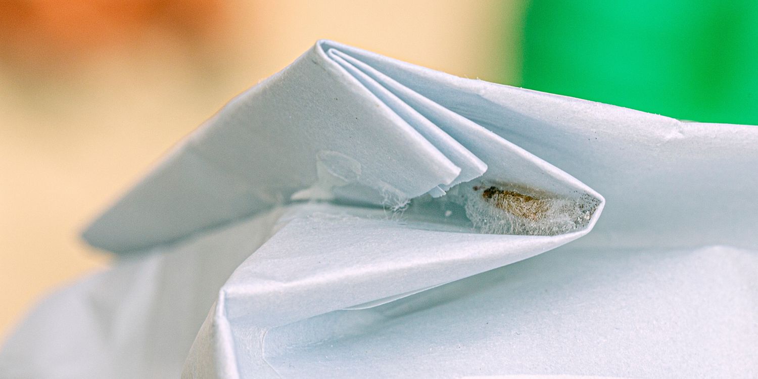 Eine Lebensmittelmotte klebt an der Innenseite des Falzes einer Lebensmittelverpackung in einem Motten-Kokon.. Artikel "Motten, Käfer und Fruchtfliegen" öffnen.