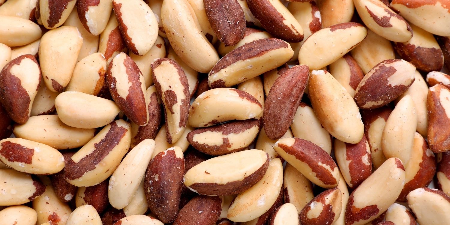 Das gesamte Bild ist ausgefüllt mit geschälten Paranüssen in Beige- und Brauntönen. . Artikel "Paranüsse als Selen-Quelle" öffnen.