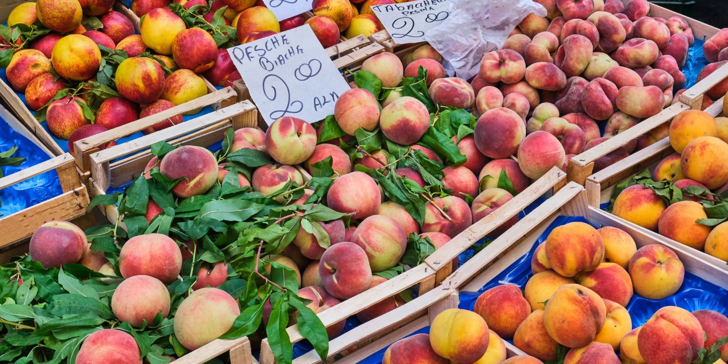 Verschiedene Sorten von Pfirsichen und Nektarinen, die auf einem Markt zum Verkauf angeboten werden. Artikel "Pfirsiche und Nektarinen" öffnen.