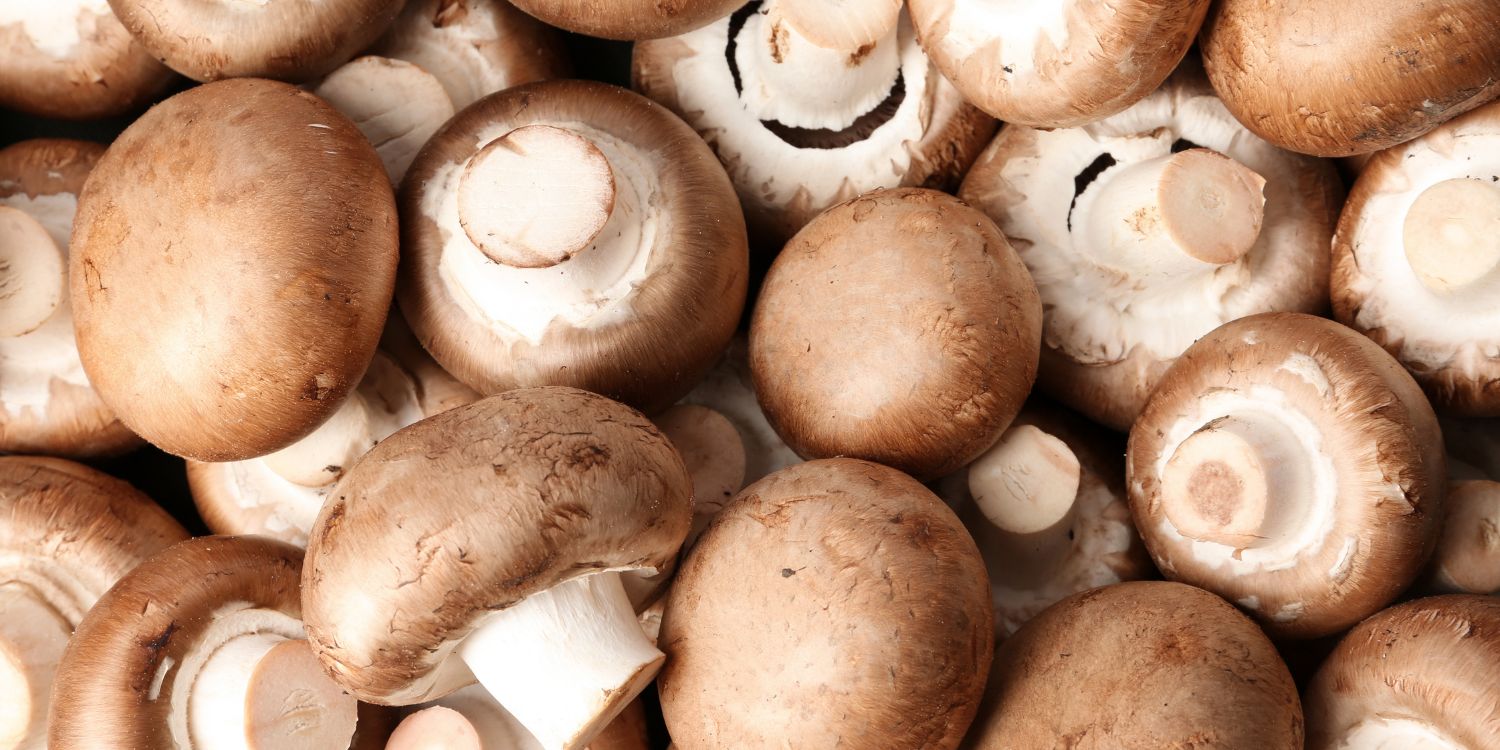 Frische Champignons. . Artikel "Champignons sind die Champions" öffnen.