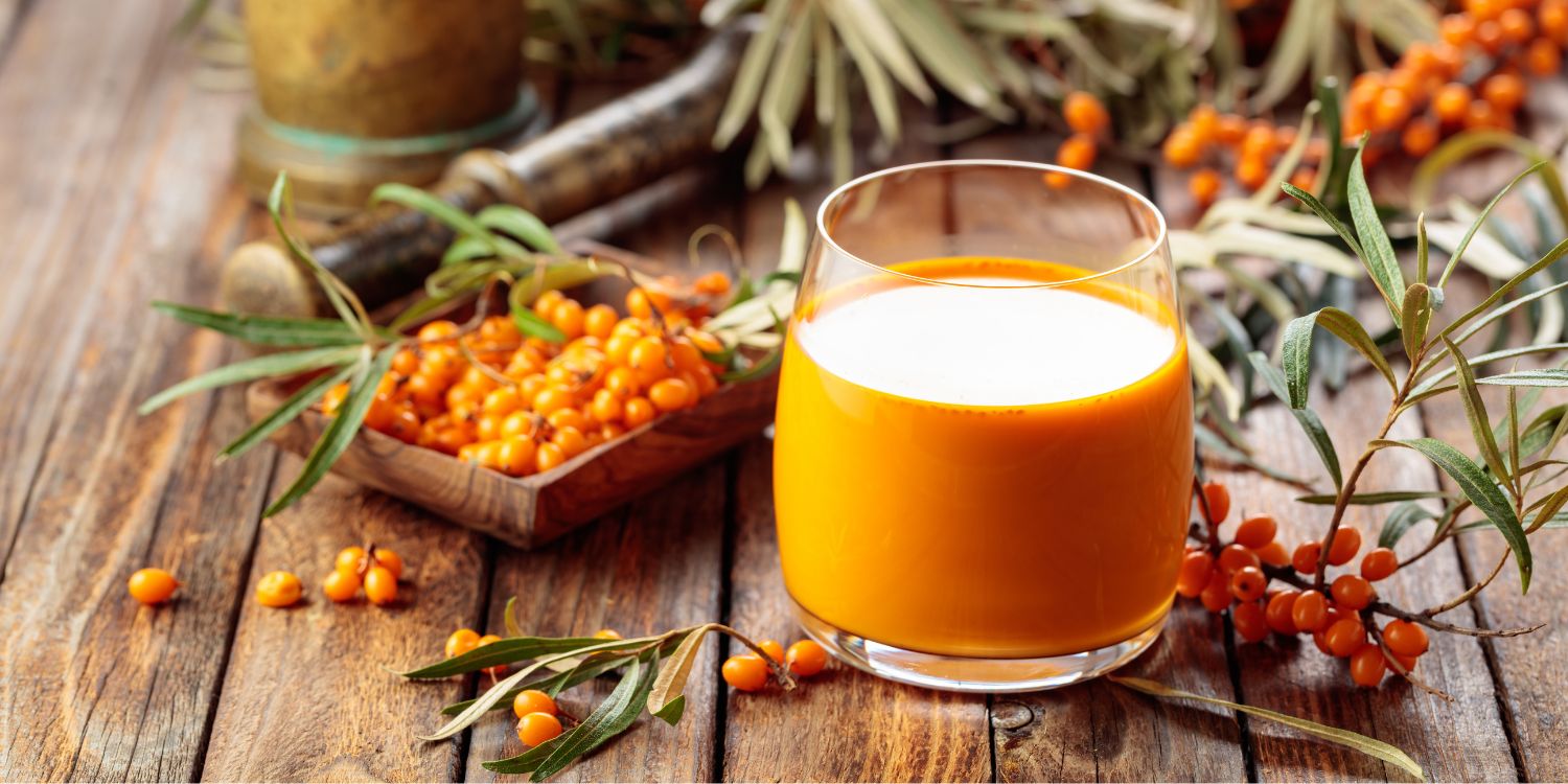 Auf einem groben Holztisch steht ein Glas mit leuchtend orangenem Sanddornsaft. Daneben liegen Sanddornbeeren und Zweige.. Artikel "Sanddorn – herb-säuerliche Beeren aus Deutschland" öffnen.