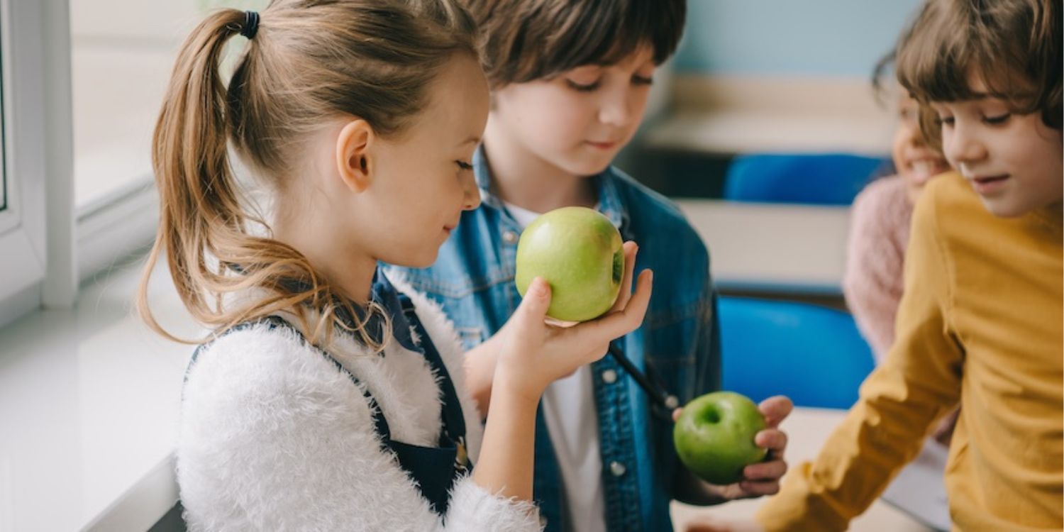 Schulkinder halten grüne Äpfel in ihren Händen und begutachten sie. . Artikel "Spielerisch die fünf Sinne entdecken " öffnen.