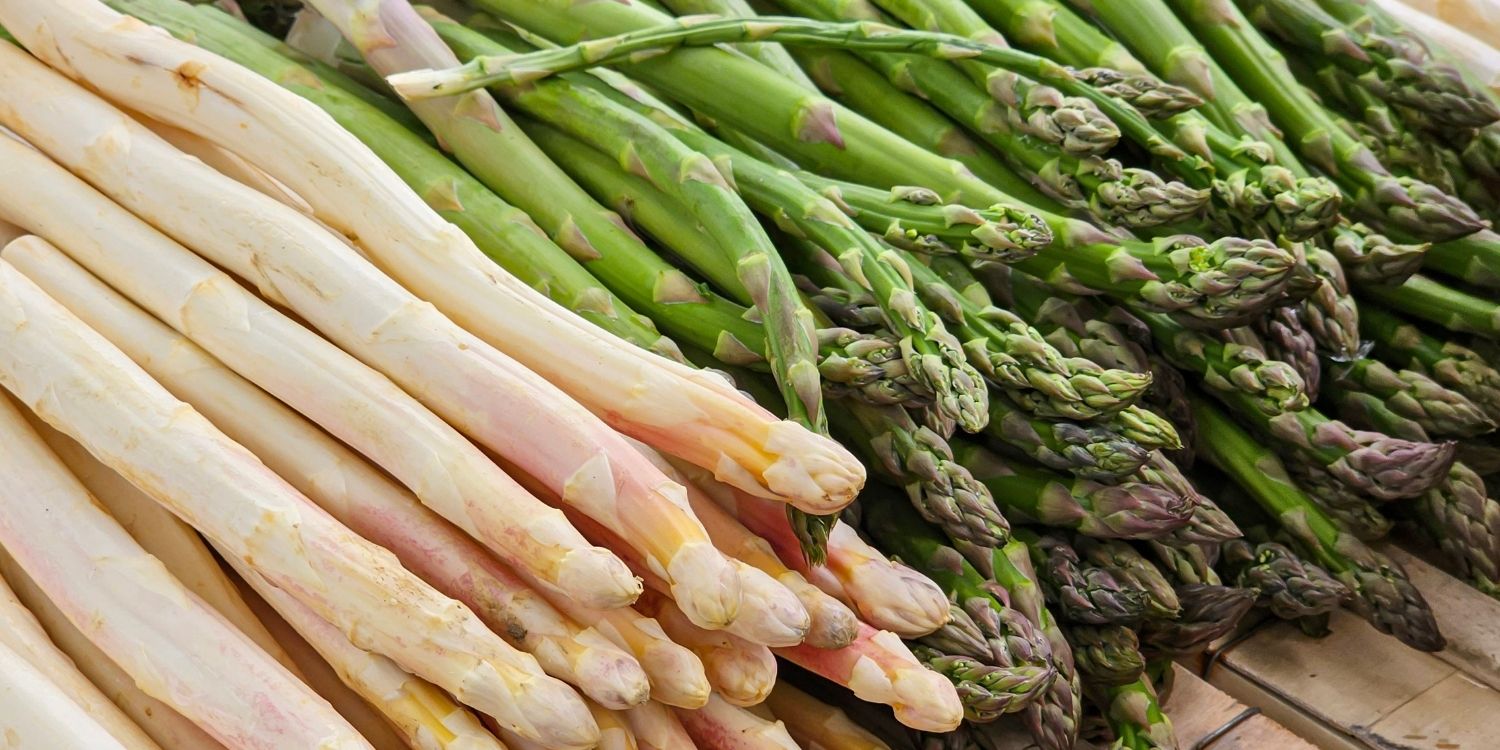 Die Bildfläche ist zu einer Hälfte ausgefüllt mit frischen grünen und zur anderen Hälfte mit weißen Spargelstangen.. Artikel "Frühlings-Hit: Heimischer Spargel" öffnen.