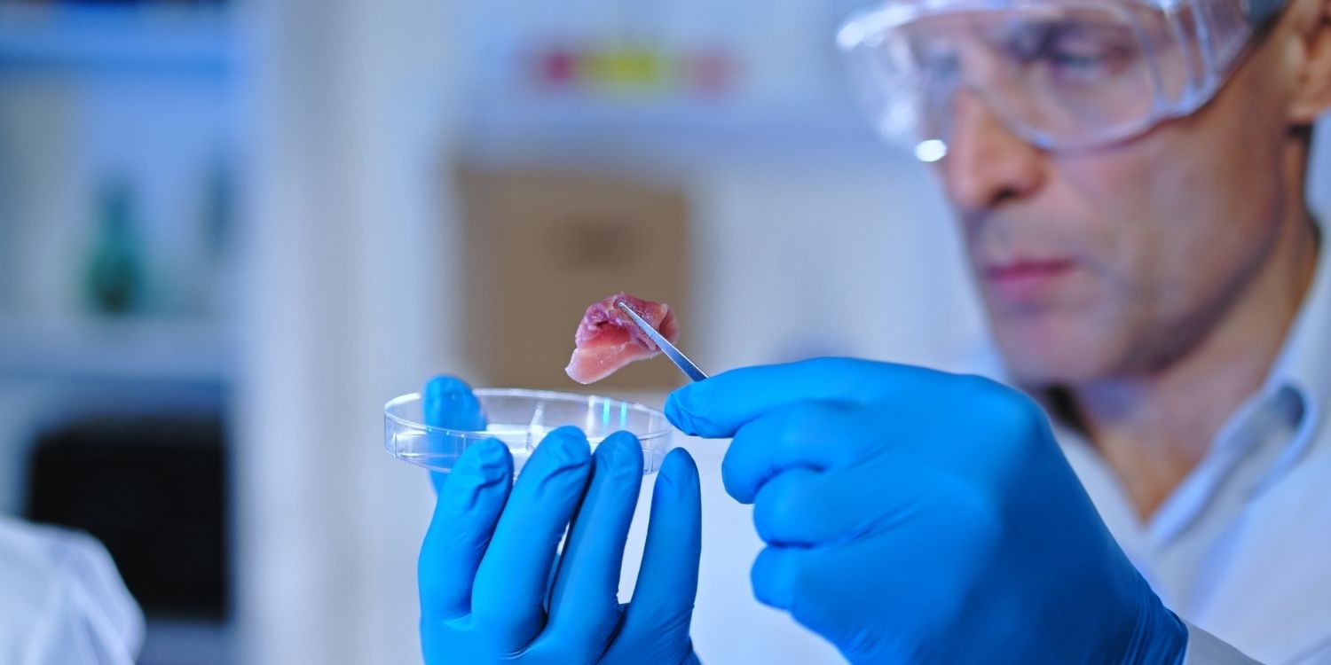 Ein Mann mit Laborkittel und Schutzbrille hebt mit einer Pinzette ein Stück Fleisch aus einer Petrischale und betrachtet es.. Artikel "Fleisch und Fisch aus dem Bioreaktor" öffnen.
